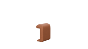 Arm
