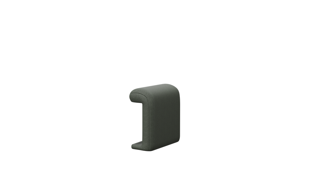 Arm