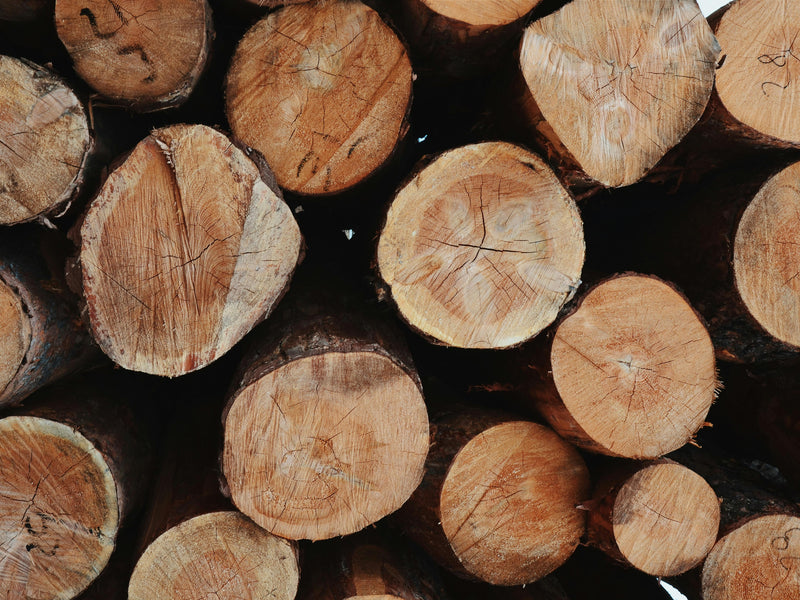 Larch Timber Frame